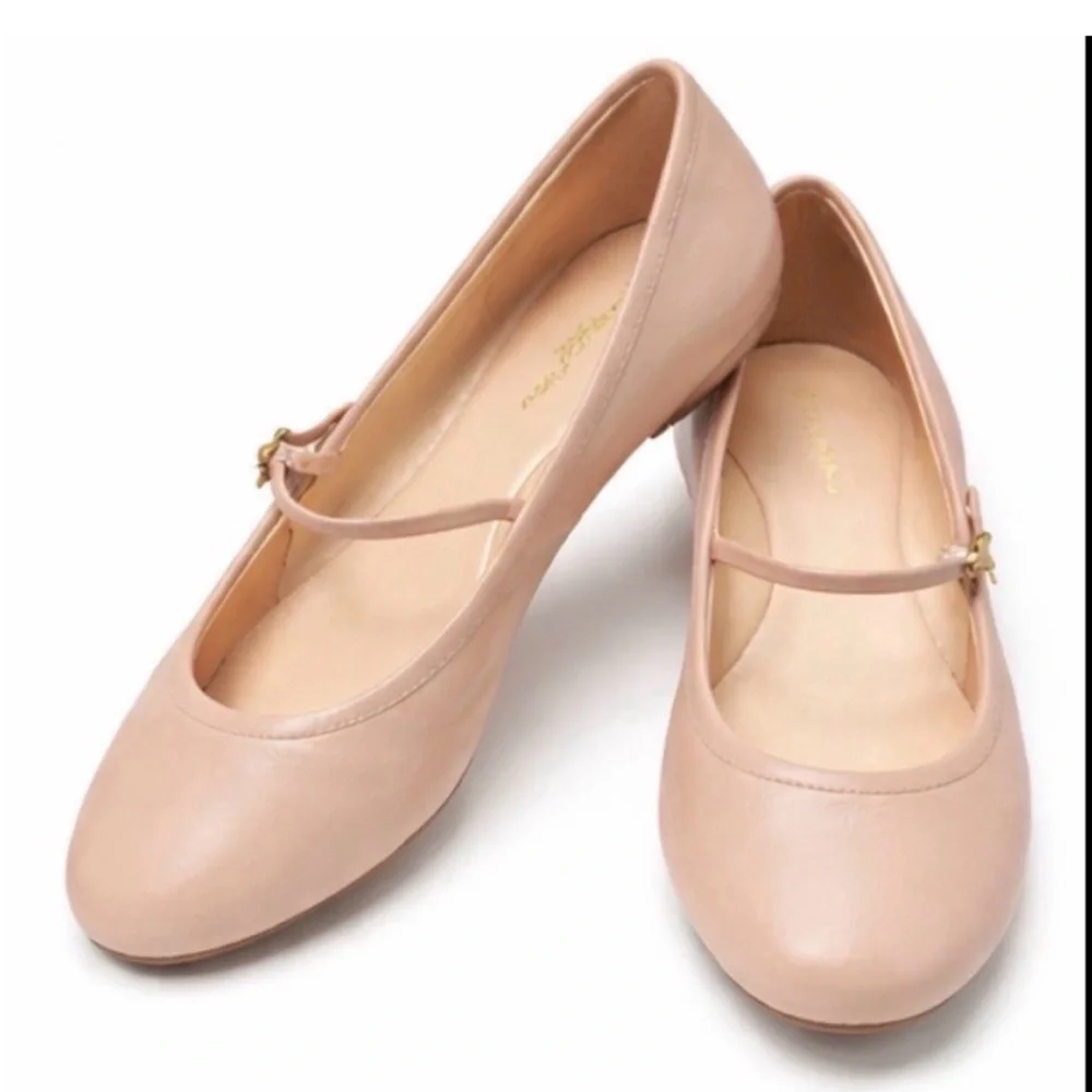DELISTING TONIGHT. Gianvito Rossi Carla Ballerina. Tan Leather EU 40 (US 9.5–10) - Picture 2 of 11
